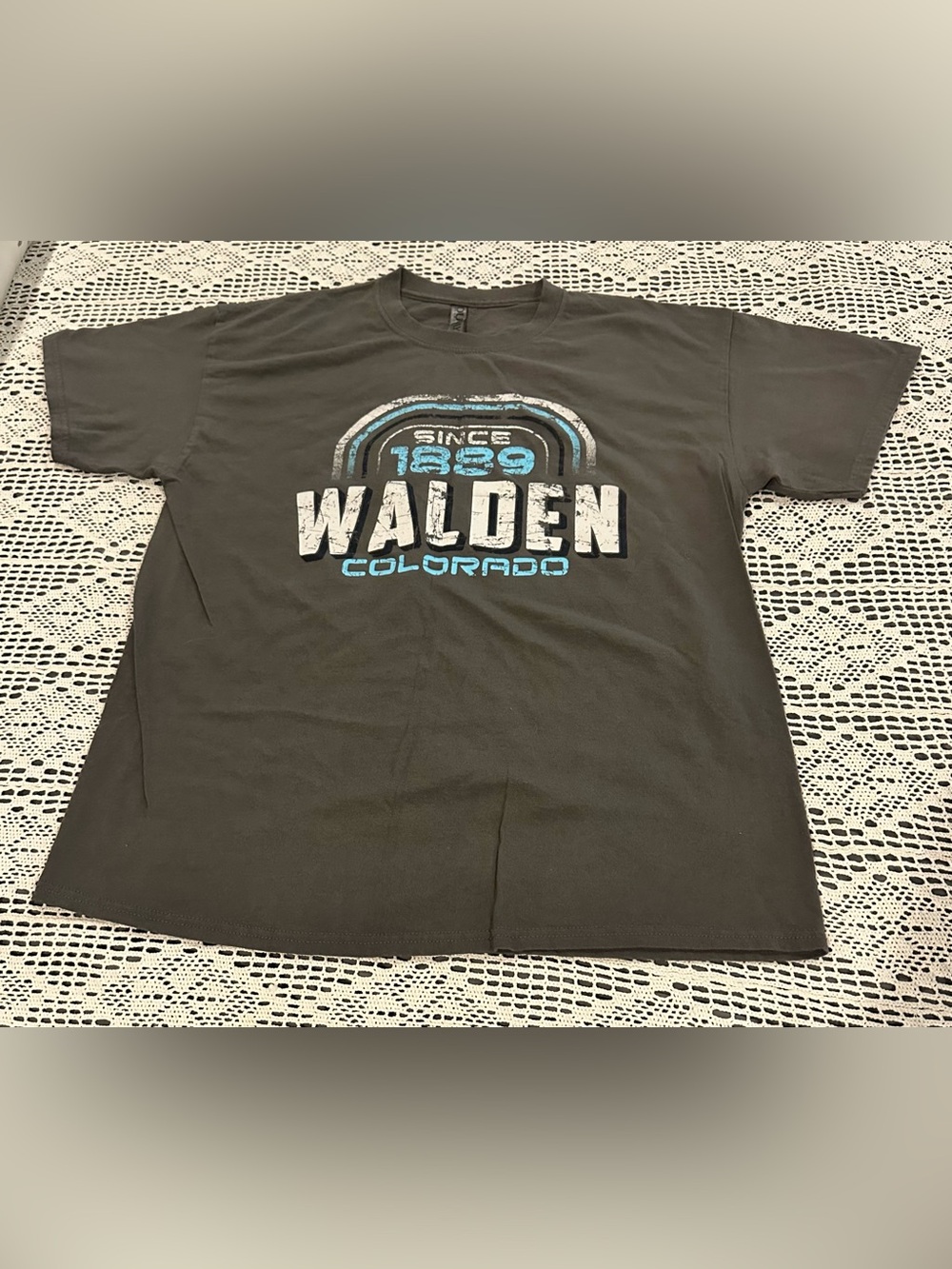 Walden, Colorado T-Shirt, 100% Cotton, Large